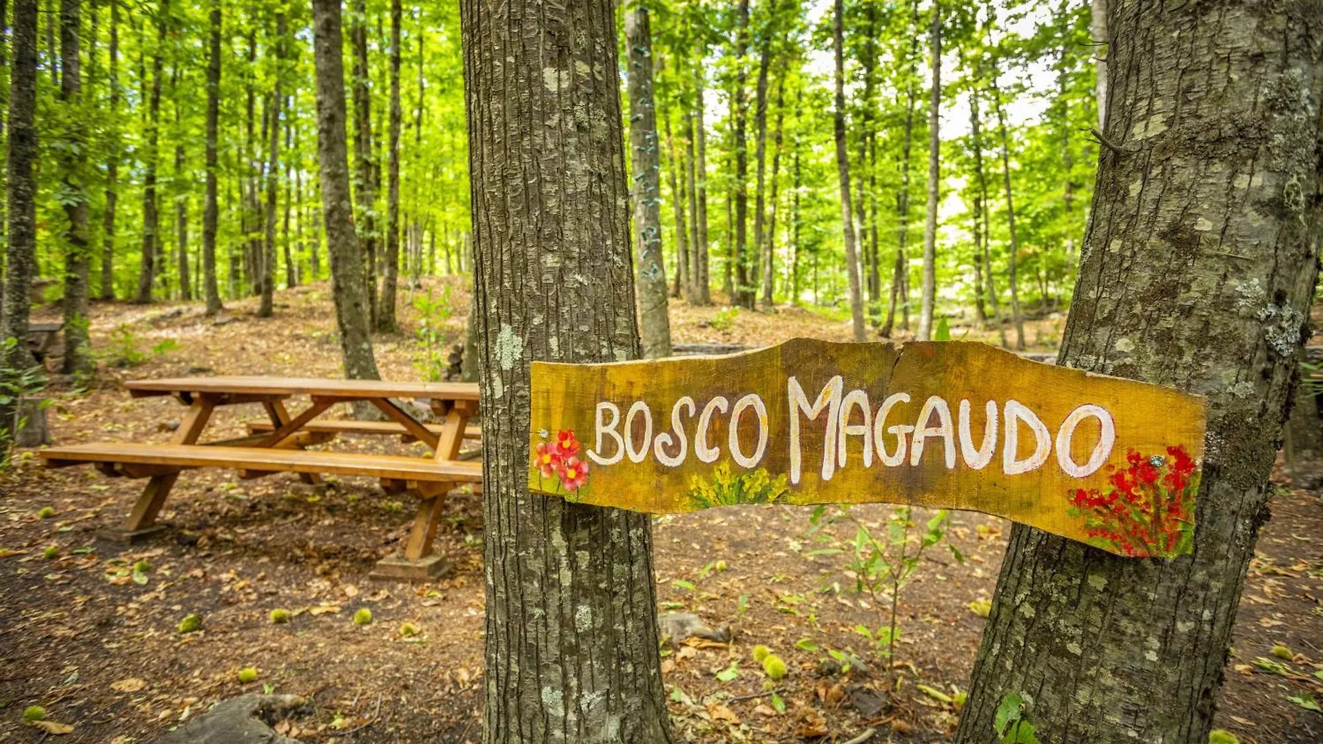 Bosco Magaudo - Casa U Parmento Villa Linguaglossa Chalet